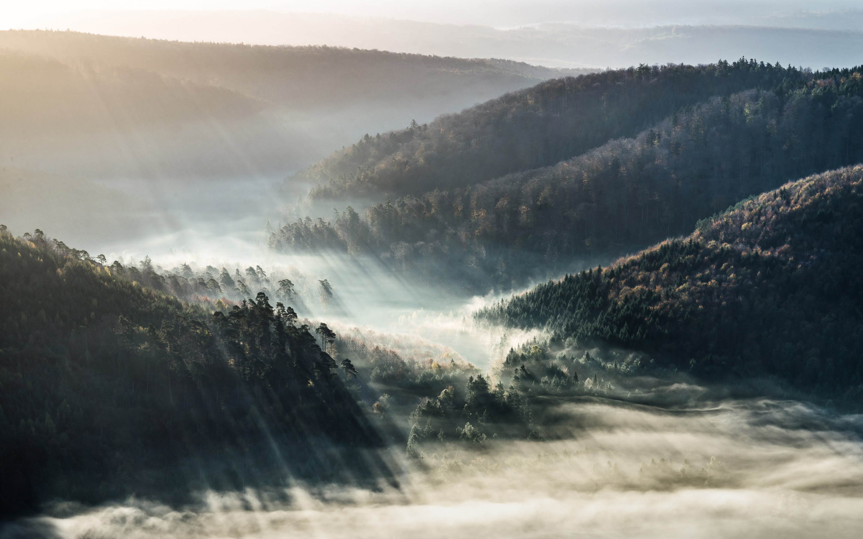 6 Photographers Offer Tips on Capturing the Magic and Mystery of Fog ...