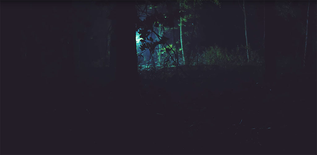 5 Ways You Can Light Your Next Horror Film Project - Moonlit Forest